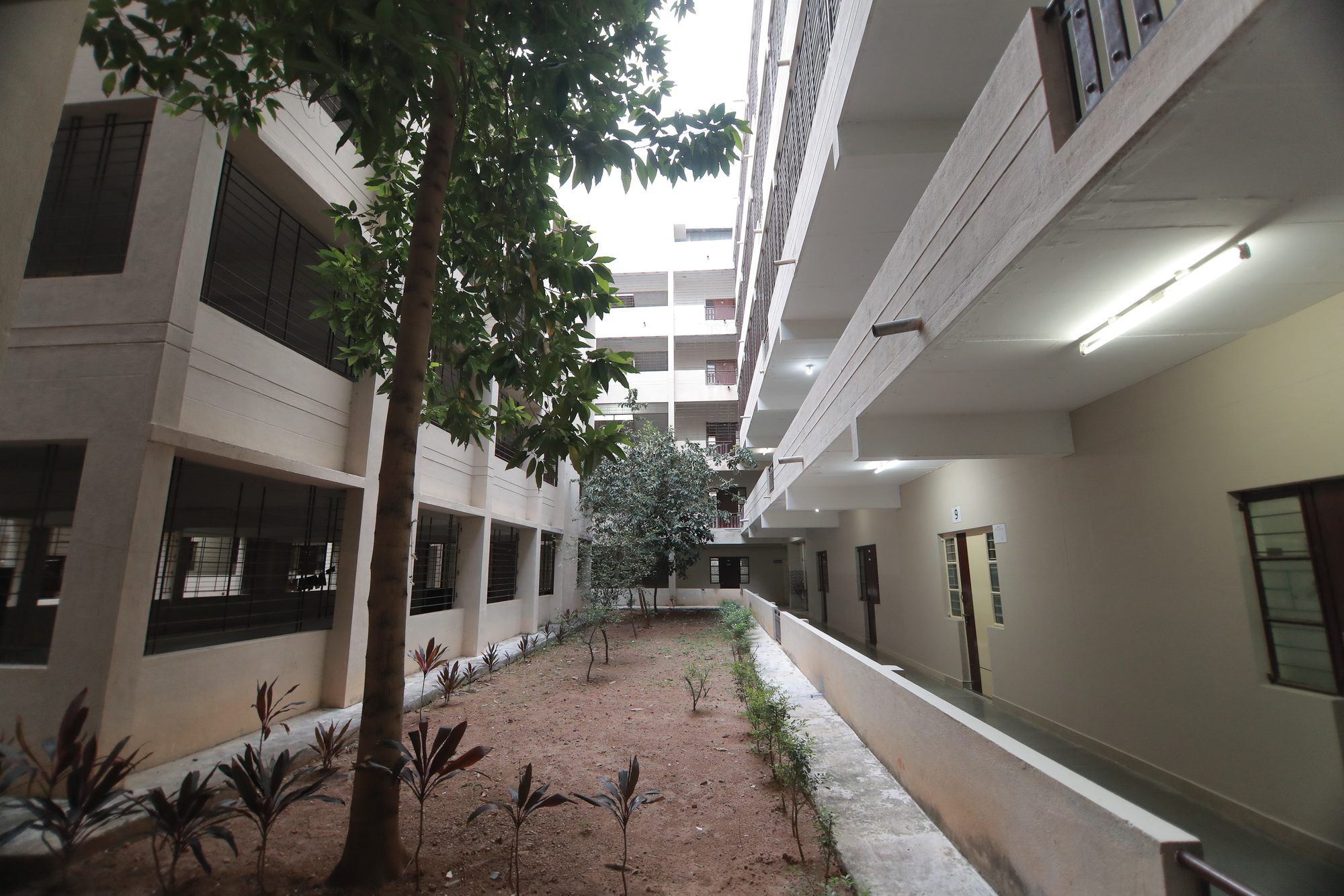 A PMC Tech hostel block beside a planted courtyard, with a tree in front and a corridor along its upper floors